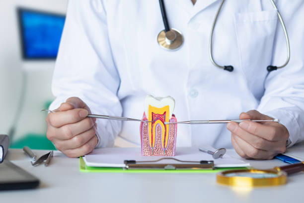Best Cracked Tooth Emergency Dentist  in Berkeley Lake, GA